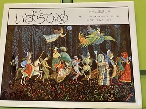 IMG_5208_コピー