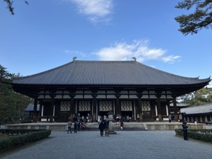IMG_6228_コピー