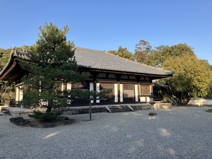 IMG_6232_コピー