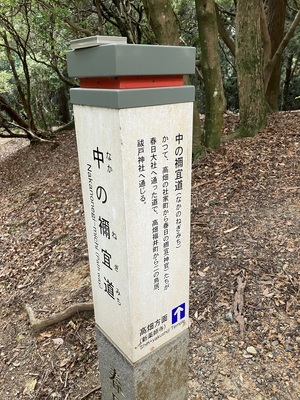 IMG_6252_コピー