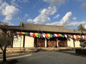 IMG_6257_コピー